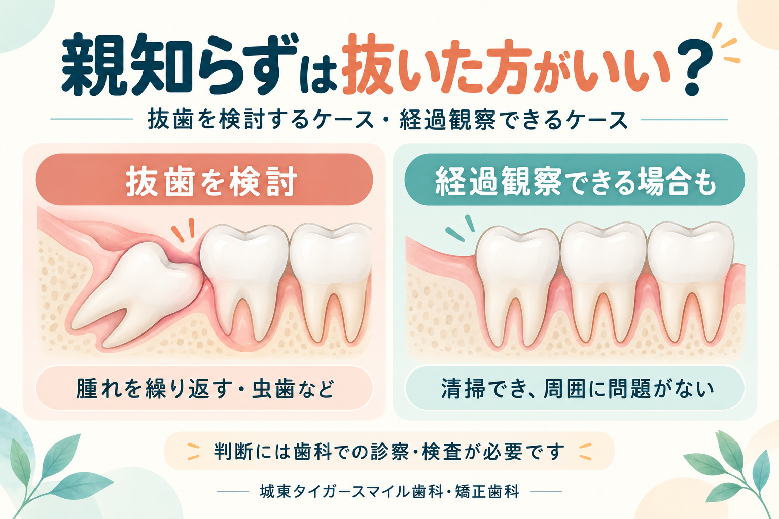 親知らずは抜いた方がいい？抜かなくてもいいケースと放置するリスクを歯科医師が解説